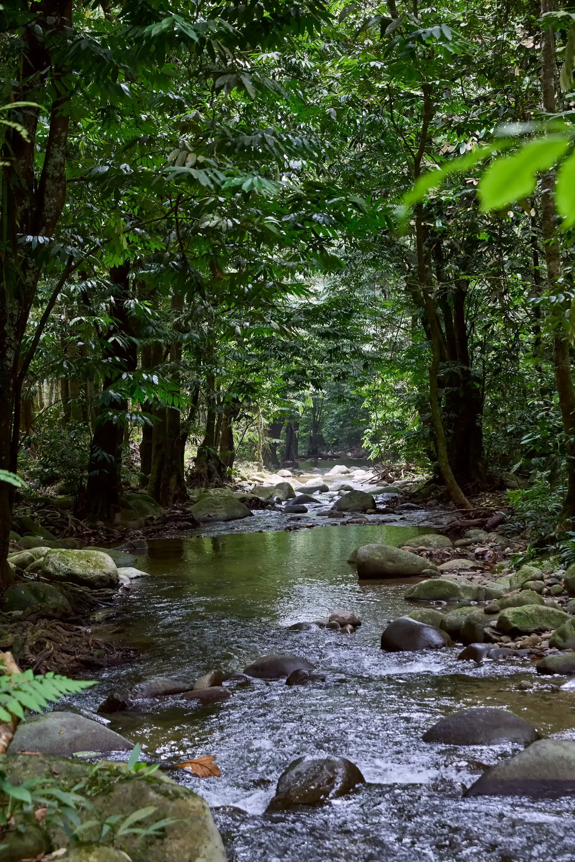 Sungai Congkak