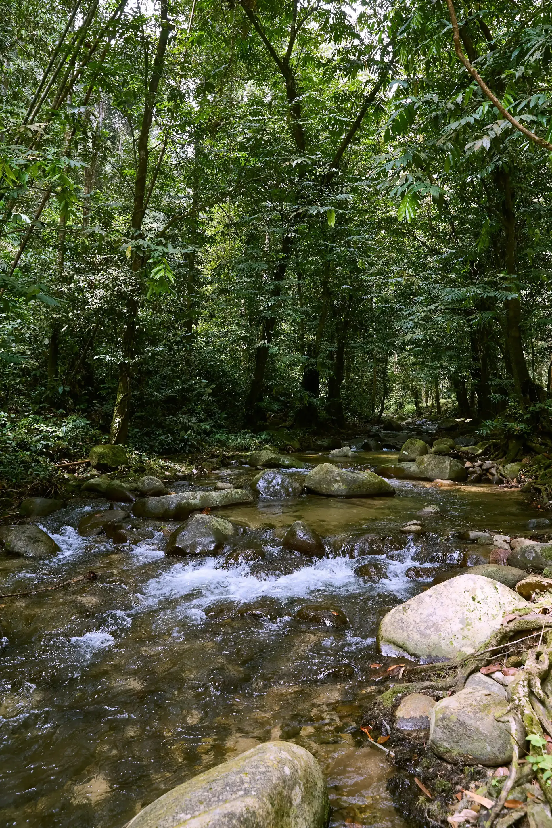 Sungai Congkak