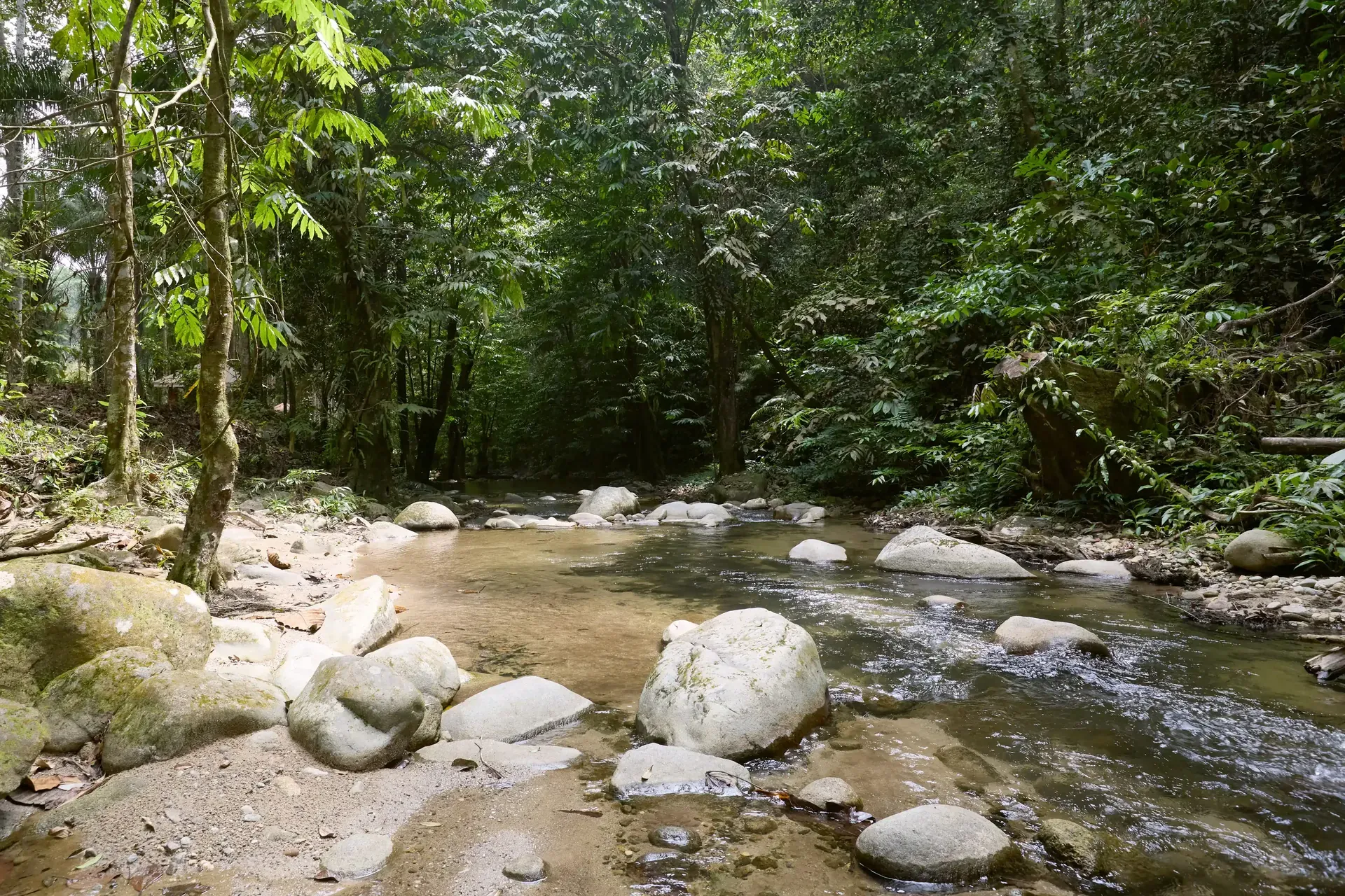 Sungai Congkak