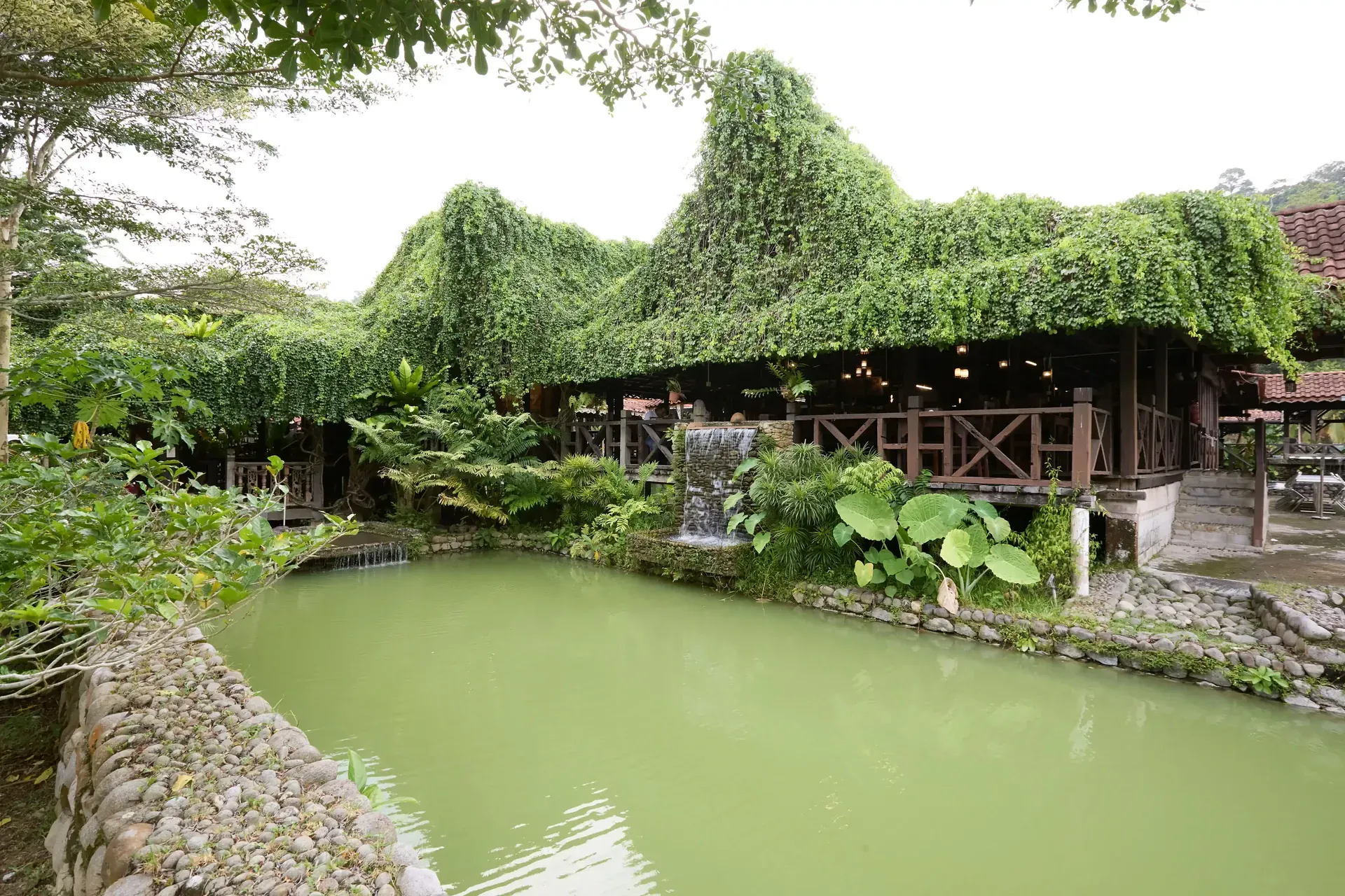 Restoran Terra Pong