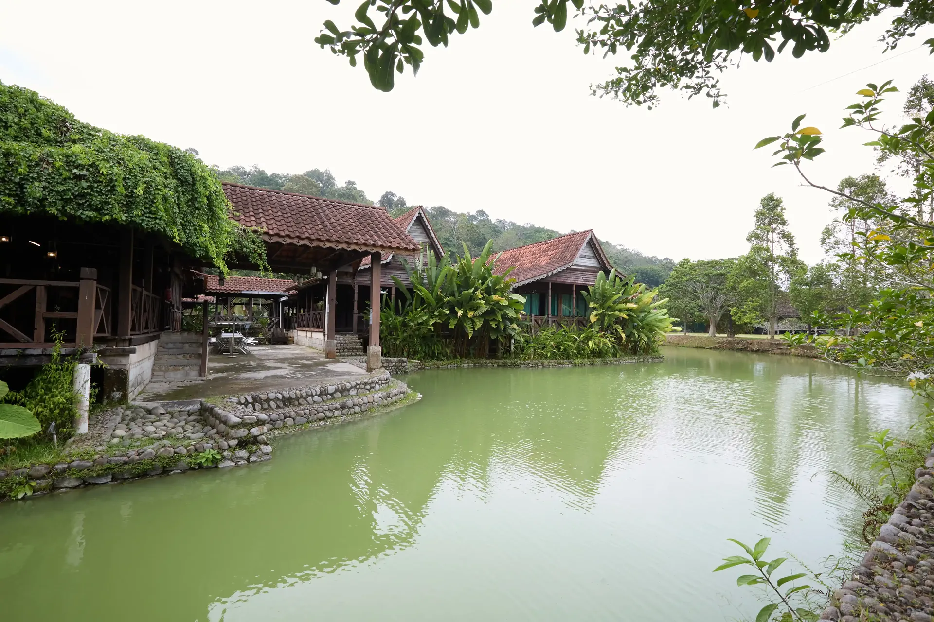 Restoran Terra Pong